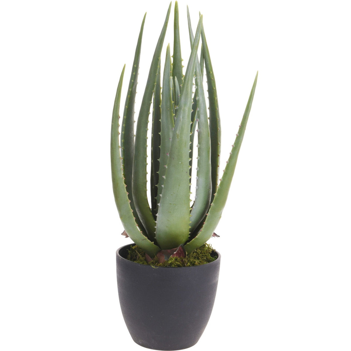 Fycooler Piante succulente artificiali Cactus finto Piante grasse finte decorative in vaso Cactus finto Cactus con vasi Cactus finto artificiale Per decorazioni per la casa Decorazioni per ufficio