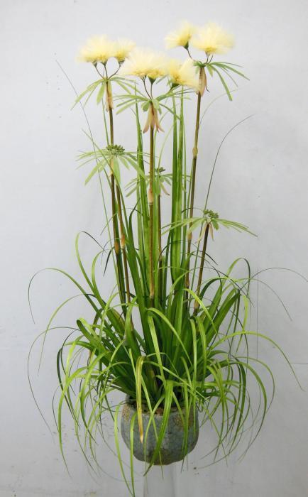 Pianta Artificiale da interno ed esterno "Papiro" con vaso h 150 cm