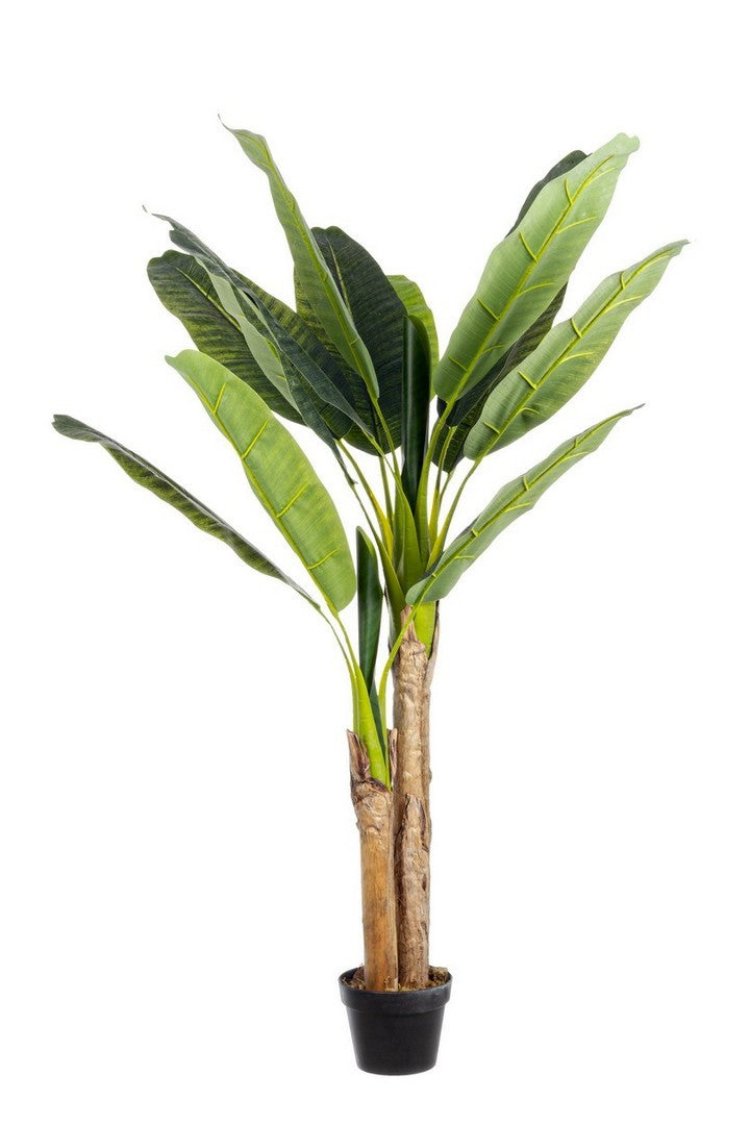 Pianta Artificiale decorativa da interno ed esterno "Banano" con vaso