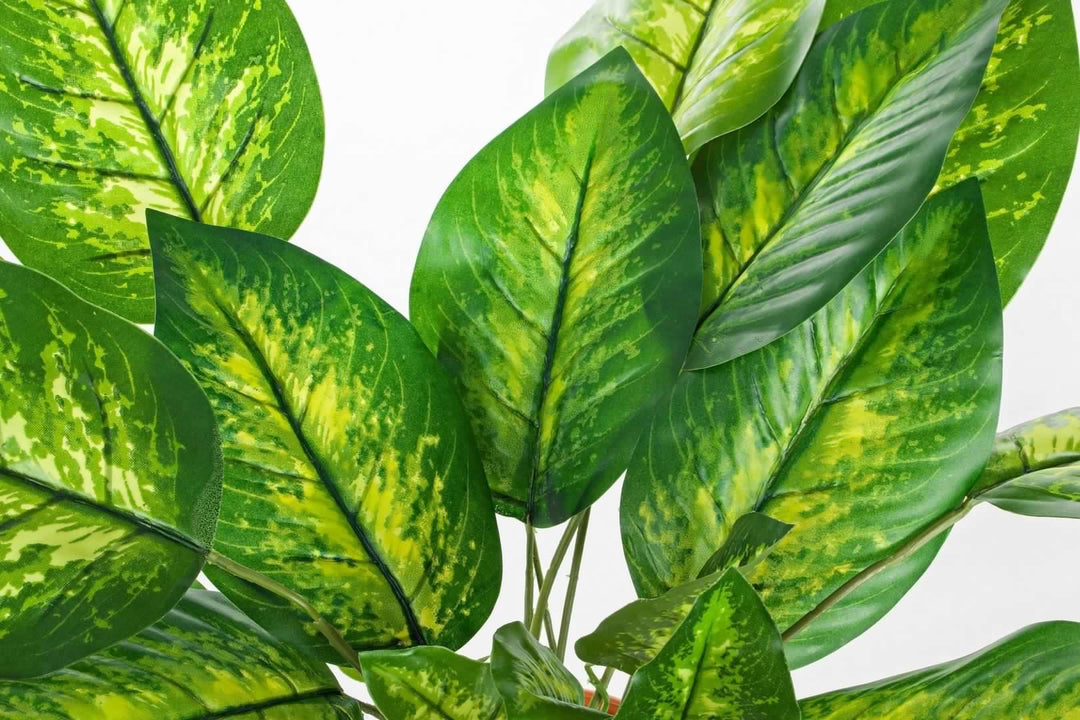 Pianta artificiale "Dieffenbachia" con vaso in plastica, 30x30x45h cm