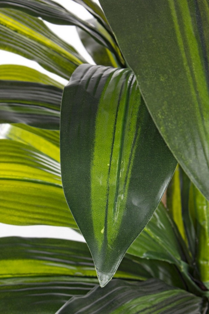 Pianta artificiale "Dracaena" con vaso in plastica nero, con foglie in gomma