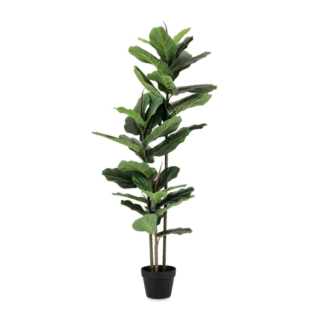 Pianta artificiale "Ficus Lyrata" con vaso in plastica nero, con foglie in gomma