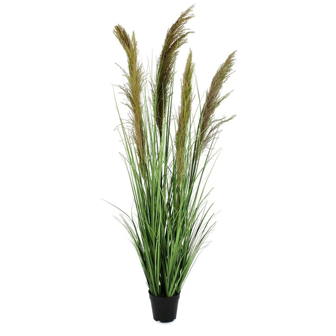 Pianta artificiale "Carine Pampas" verde e marrone, fiore in ciuffi con vaso in plastica