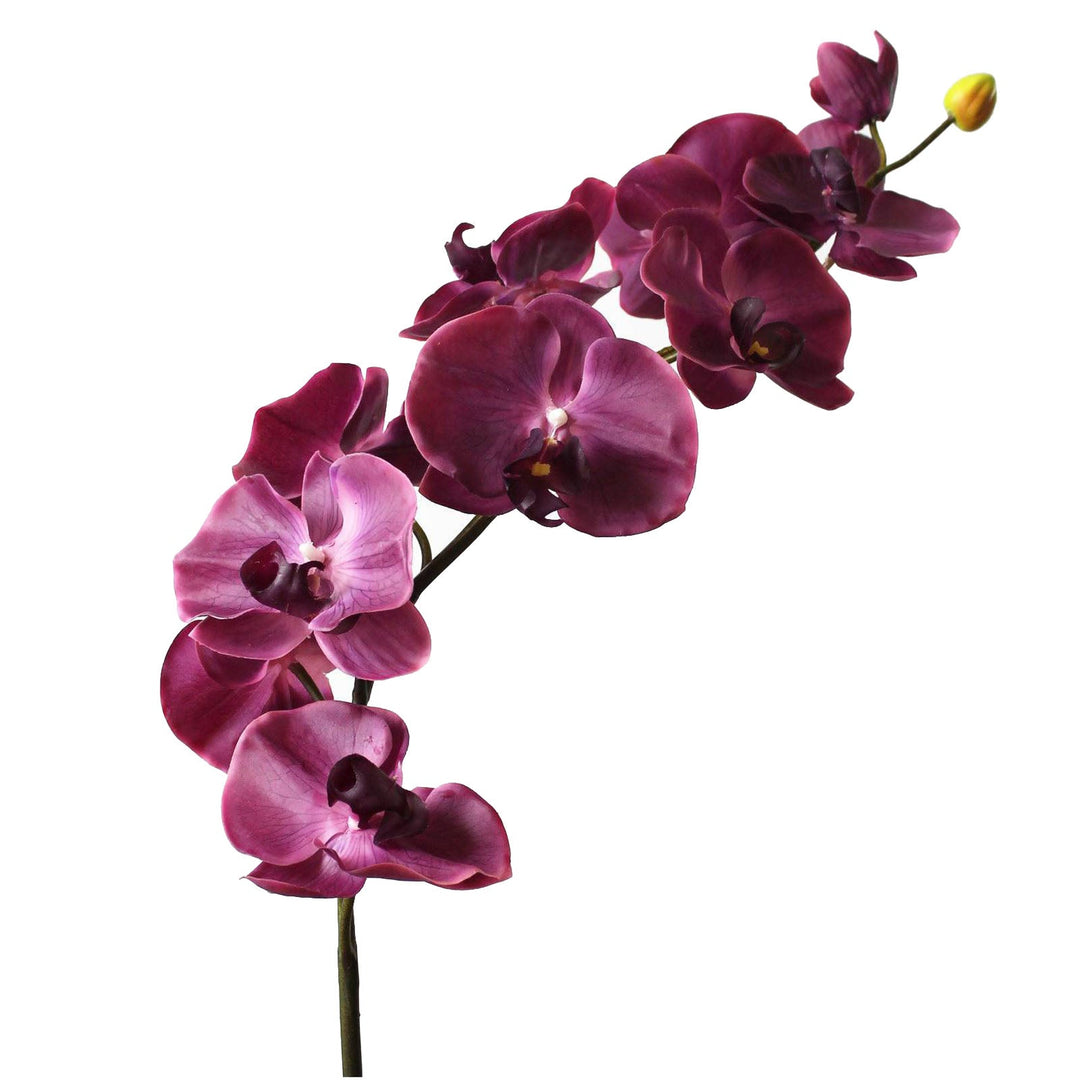 Stelo di Orchidea artificiale da interno ed esterno H 95