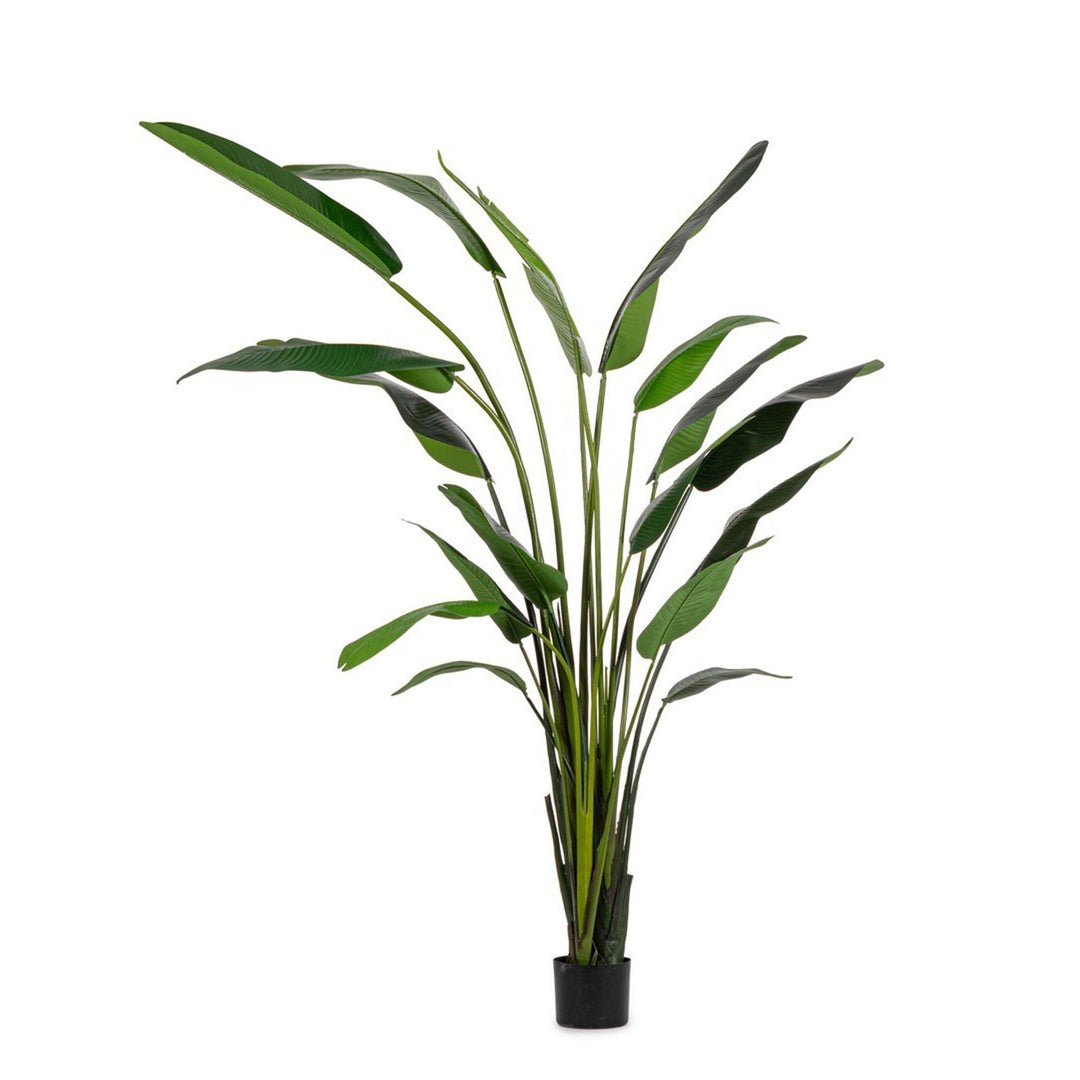 Pianta "Strelitzia" con vaso in plastica nero, foglie in gomma