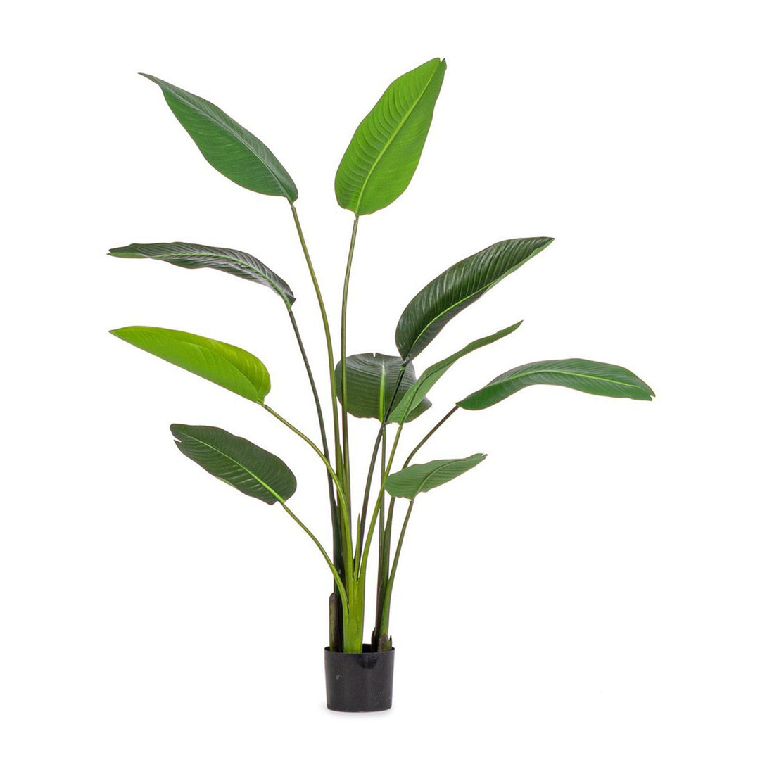 Pianta "Strelitzia" con vaso in plastica nero, foglie in gomma