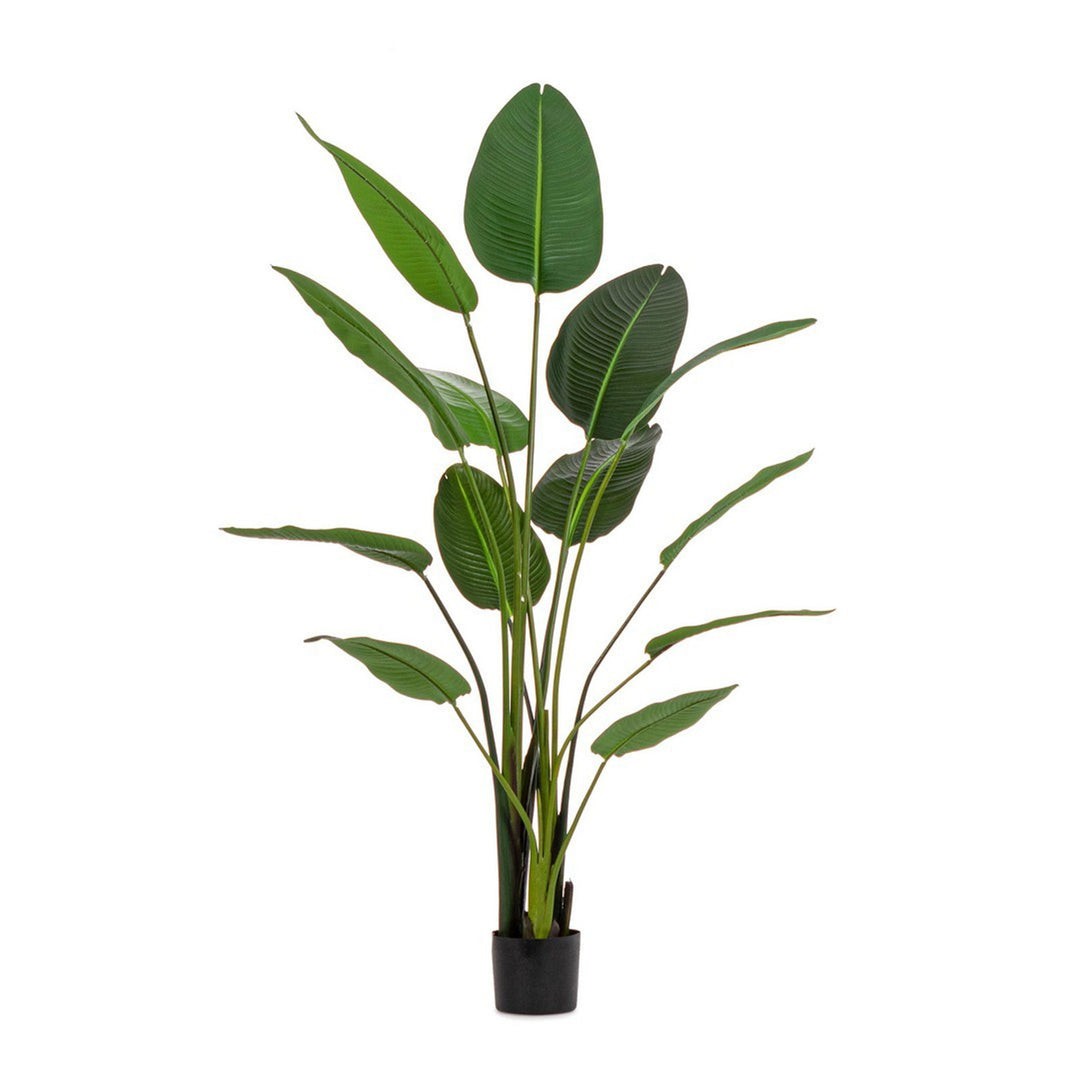 Pianta "Strelitzia" con vaso in plastica nero, foglie in gomma