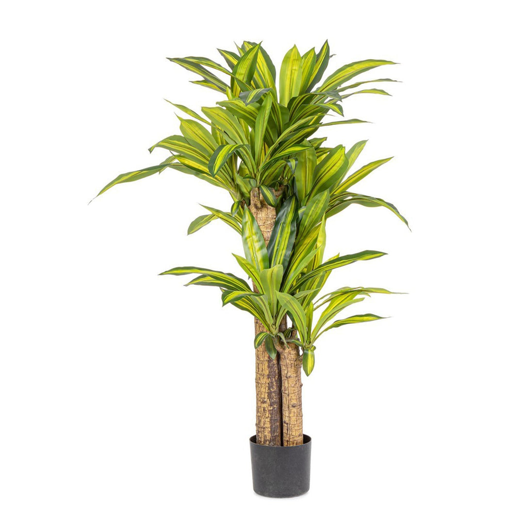 Pianta artificiale "Dracaena" con vaso in plastica nero, con foglie in gomma