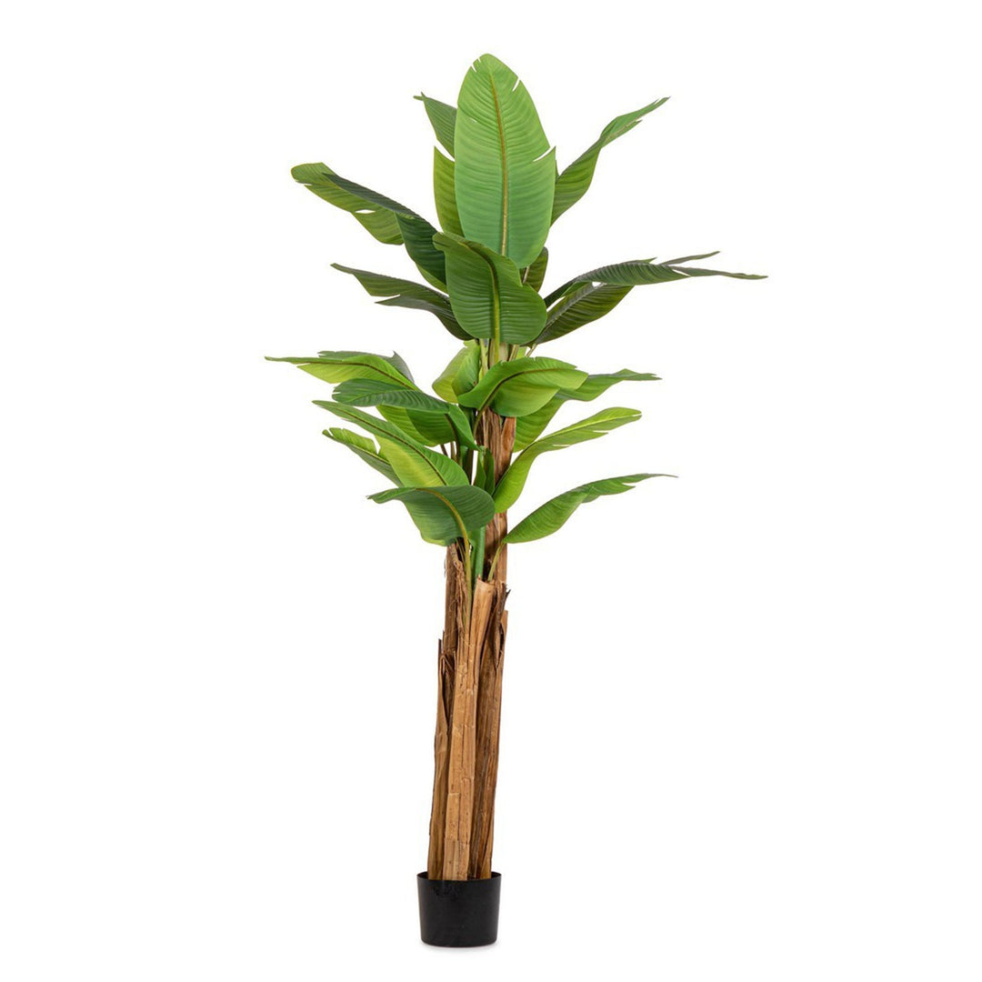 Pianta artificiale "Banano" con vaso nero, foglie in gomma, realistica