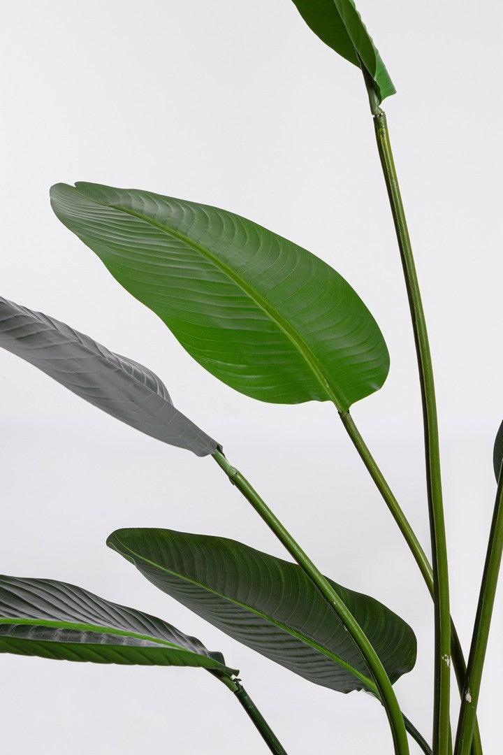 Pianta "Strelitzia" con vaso in plastica nero, foglie in gomma