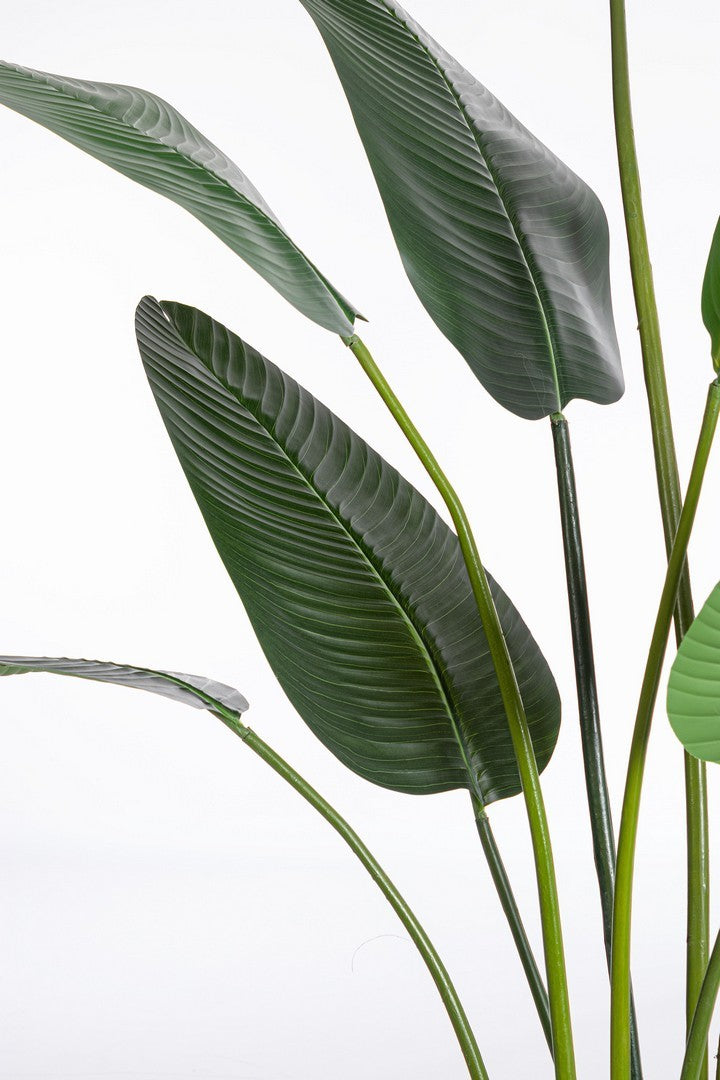 Pianta "Strelitzia" con vaso in plastica nero, foglie in gomma