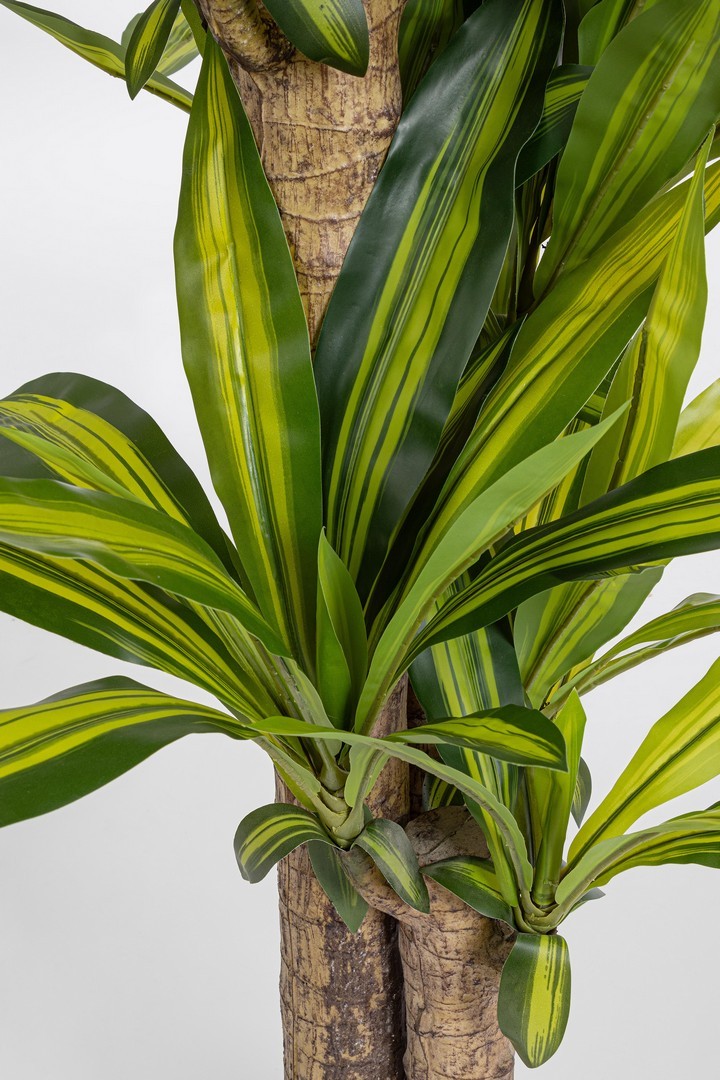Pianta artificiale "Dracaena" con vaso in plastica nero, con foglie in gomma