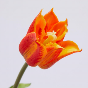 Fiore artificiale "tulipano" effetto realistico con stelo e foglie verdi