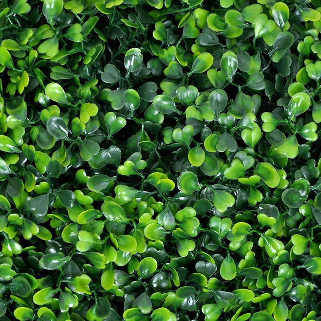 Siepe artificiale per parete sempreverde verticale "Buxus" da intero ed esterno 50 x 50 cm
