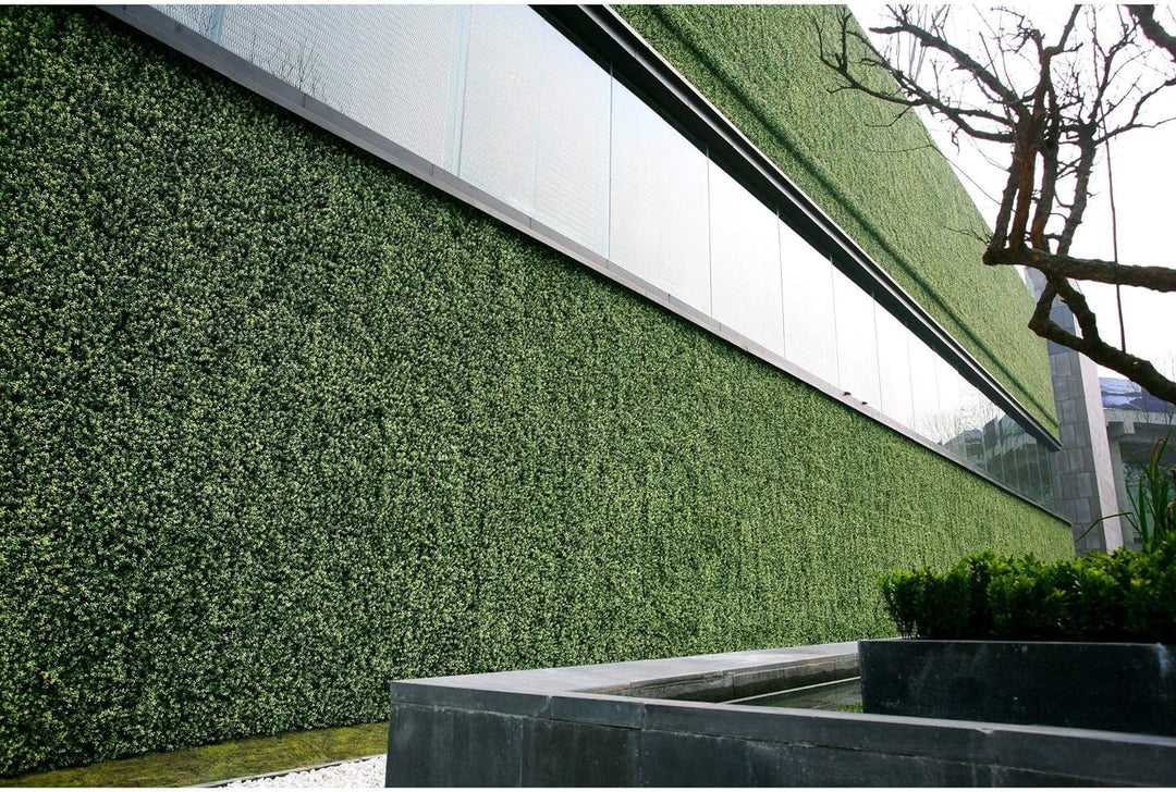 Siepe artificiale per parete sempreverde verticale "Buxus" da intero ed esterno 50 x 50 cm