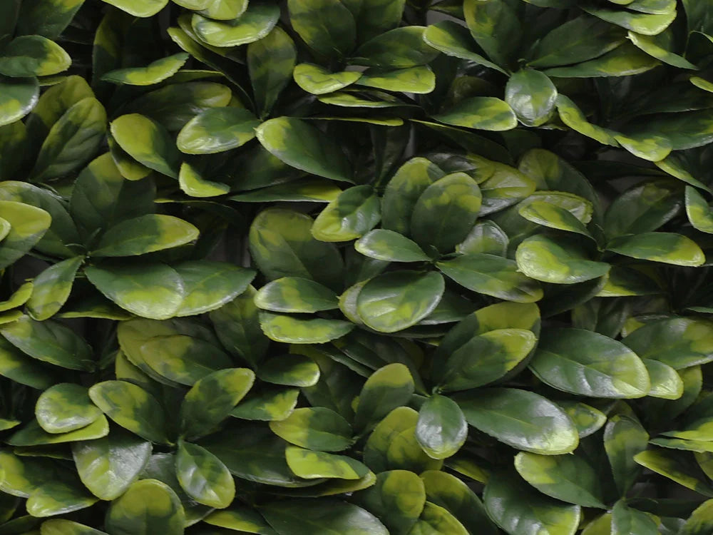 Siepe artificiale per parete sempreverde verticale "Alloro" da intero ed esterno 50 x 50 cm