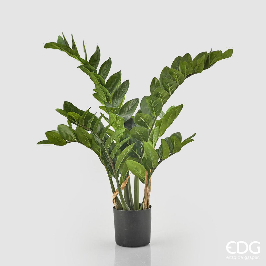 Pianta Artificiale decorativa da interno ed esterno "Zamifolia" con vaso