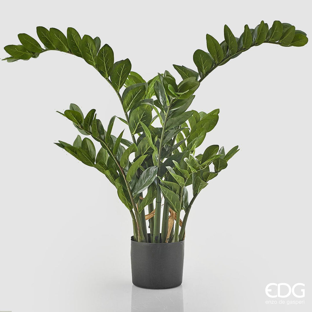 Pianta Artificiale decorativa da interno ed esterno "Zamifolia" con vaso
