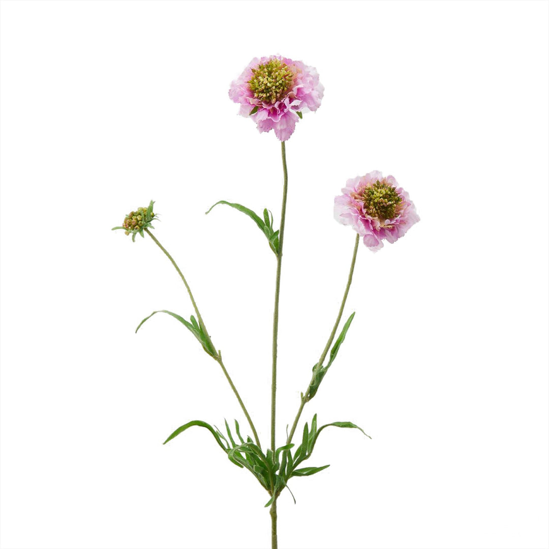 Fiore artificiale "Scabiosa Rex" h 65 cm effetto realistico con stelo e foglie verdi