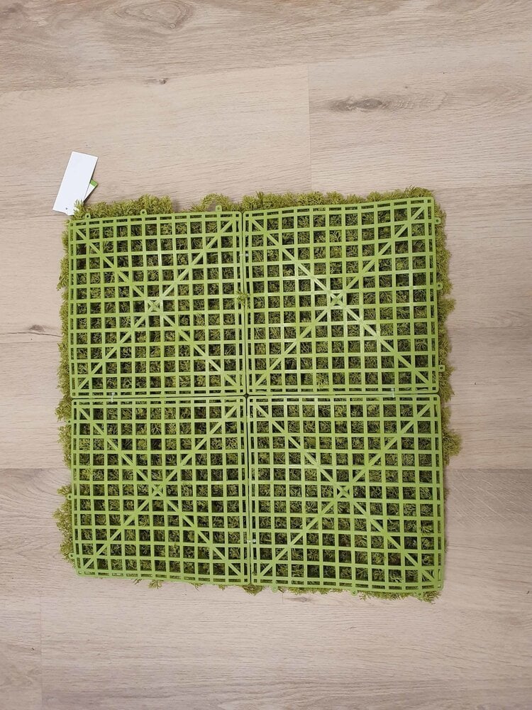 Siepe artificiale per parete sempreverde verticale "Lichene" da intero ed esterno 50 x 50 cm
