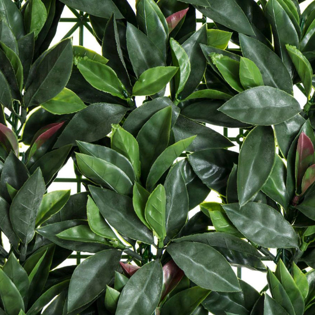 Siepe artificiale per parete sempreverde verticale "Photinia" da intero ed esterno 1 x 1 mt